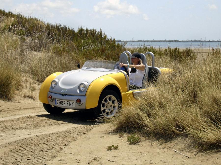  Acrea Zest 2-Seater 2006 года  (фото 7 из 11)